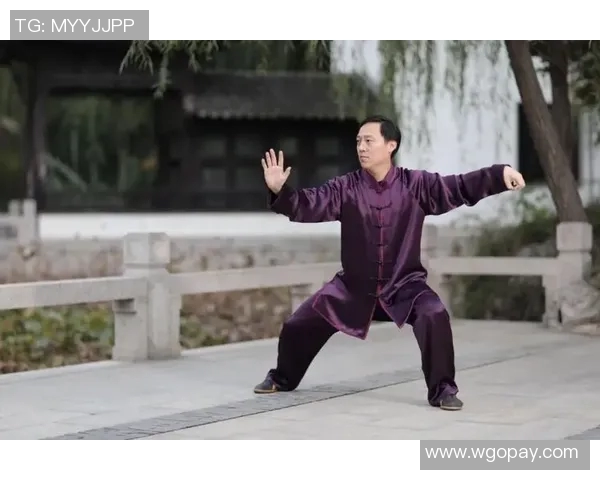 陈斌老架一路的传承与发展探索传统武术的现代价值与意义