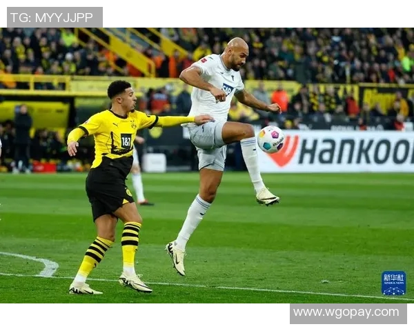 德甲中游球队霍芬海姆力克强敌，表现出色势不可挡