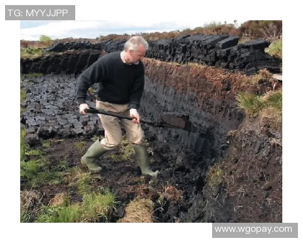多特蒙德连败难脱泥沼，德甲豪门受困泥潭