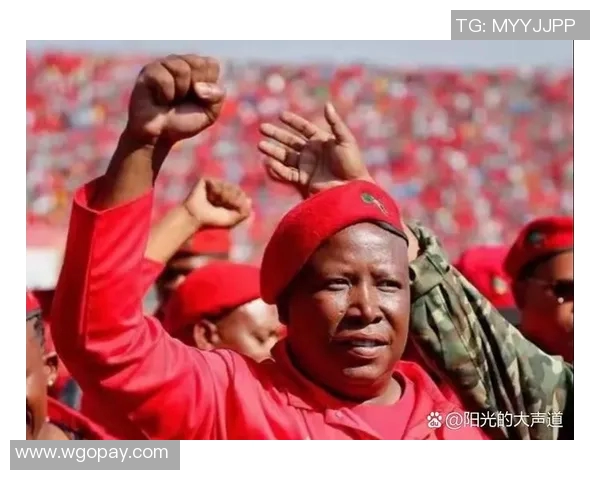 斯图加特战胜停摆困局稳步前行迎接胜利!