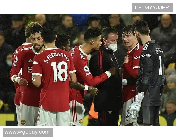 英超球队被曝出多名球员感染新冠病毒,比赛将会推迟 英超球队被曝出多名球员感染新冠病毒,比赛将会推迟