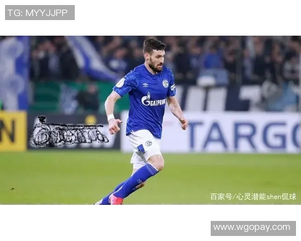 沙尔克04状况堪忧,德甲遭遇连败困境难抉择 沙尔克04状况堪忧,德甲遭遇连败困境难抉择