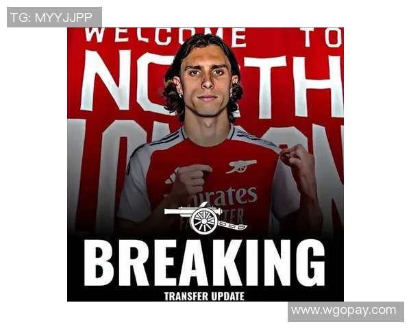 英超球队新赛季引援战略曝光，重点追逐欧洲大牌球星