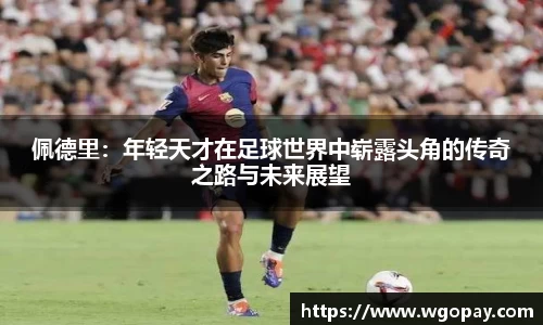 米兰体育注册
